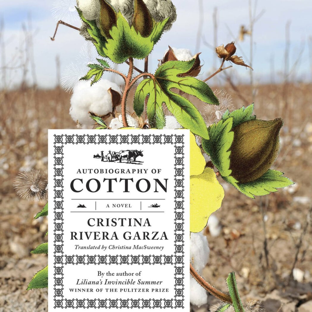 Cristina Rivera Garza on Autobiography of Cotton with Rita Indiana 1