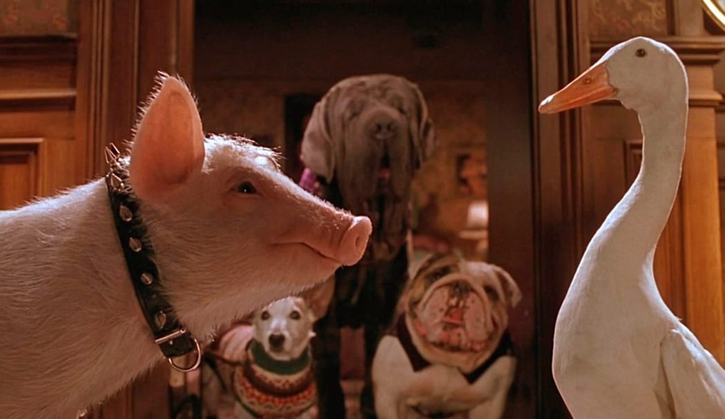 Babe, le cochon dans la ville 1
