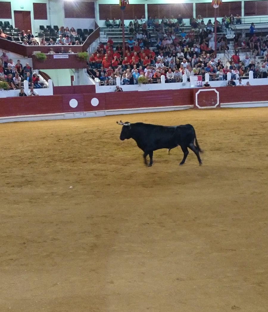 Ferias de Saint-Vincent-de-Tyrosse 3