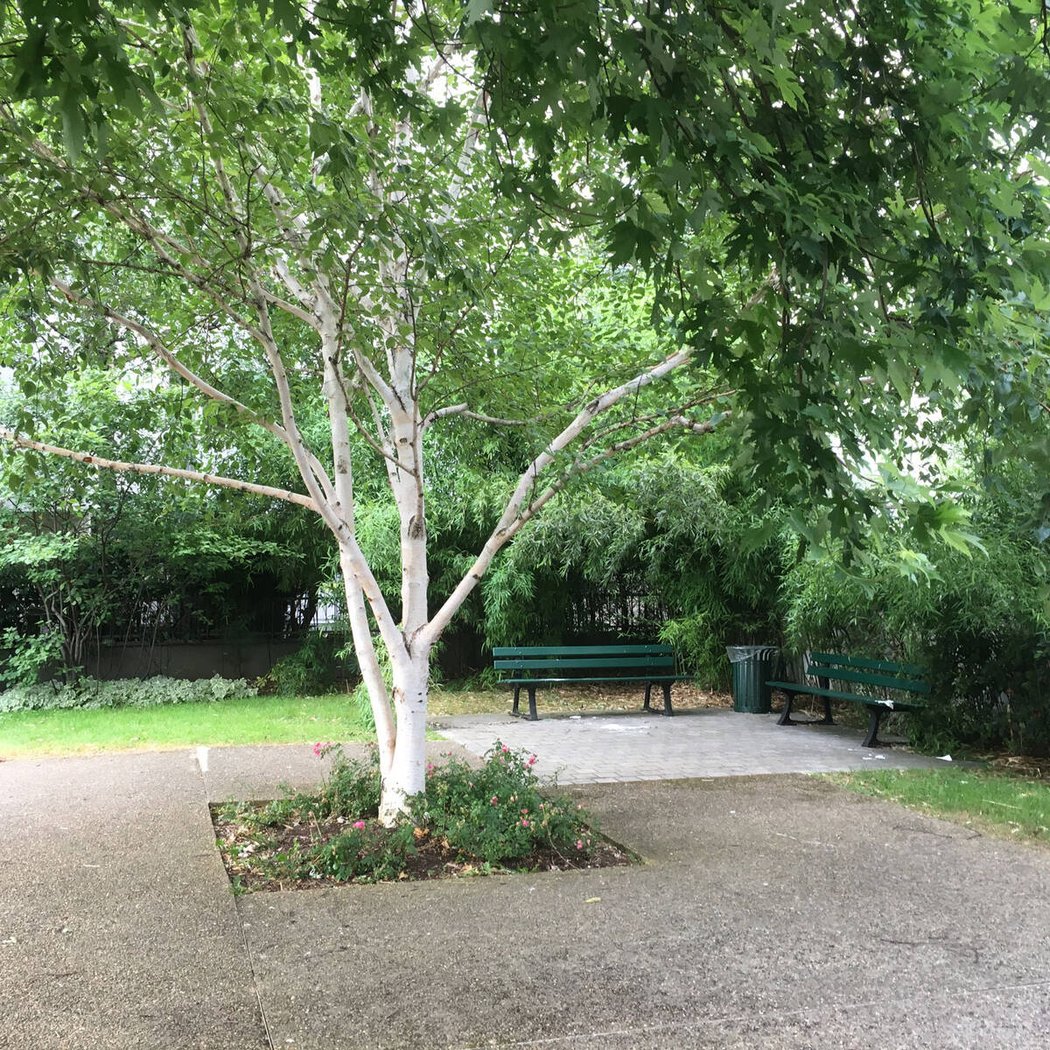 Square des Fauvelles 1