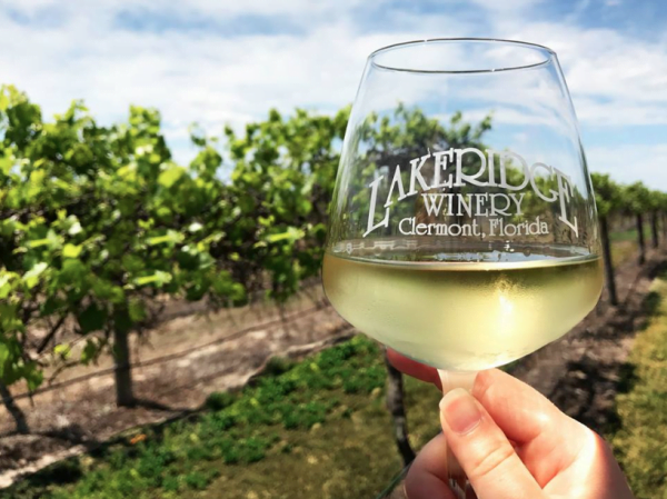 Weekends at the Winery 2