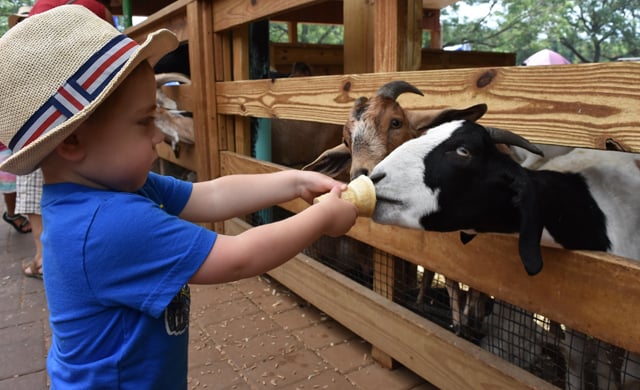 Fall Festival at White Post Farms