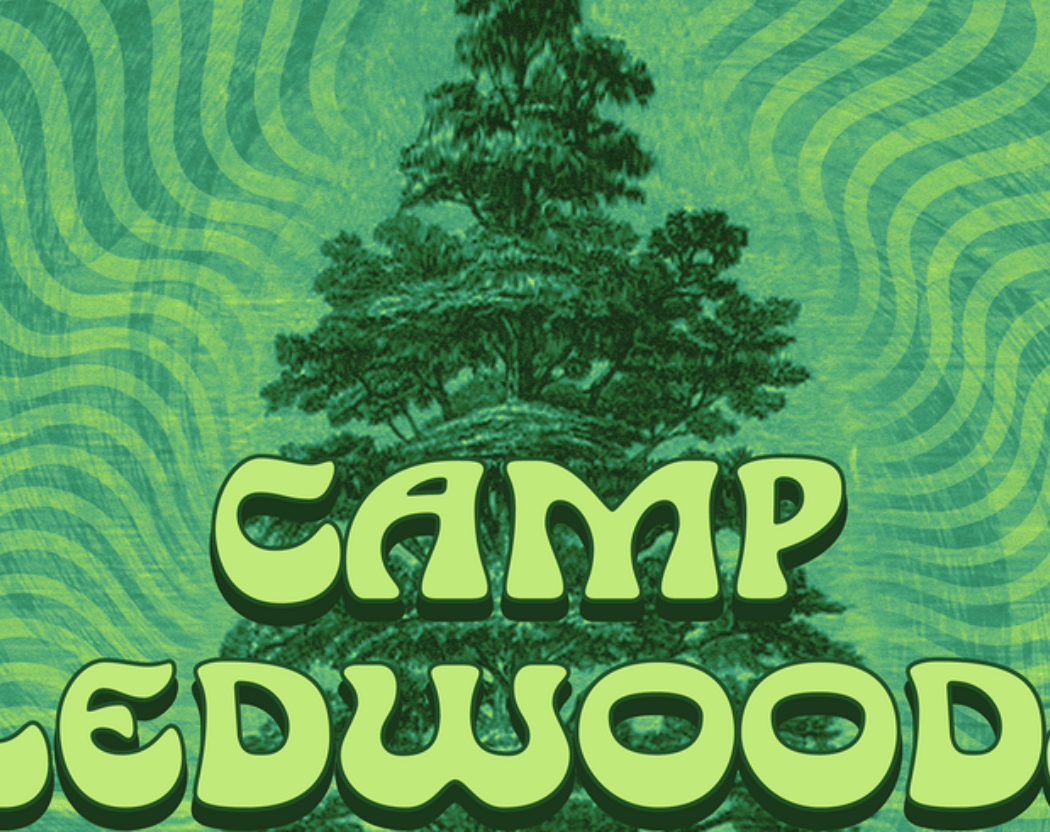 Camp Redwoods 2026 4