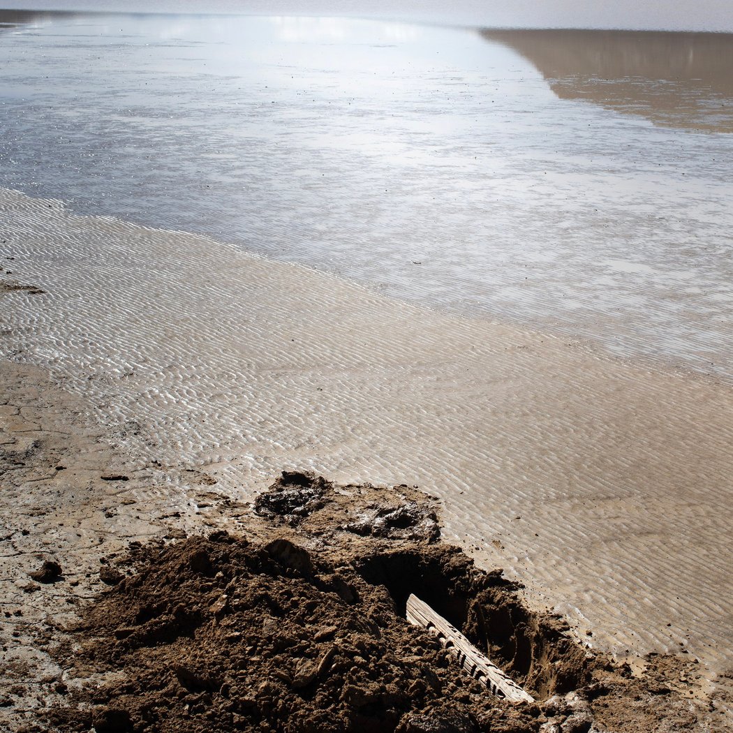 FUTURE FOSSILS by Daniel Southard 1