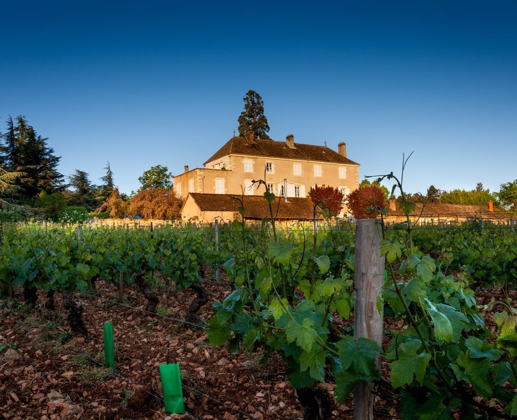 Domaine de la Folie 1