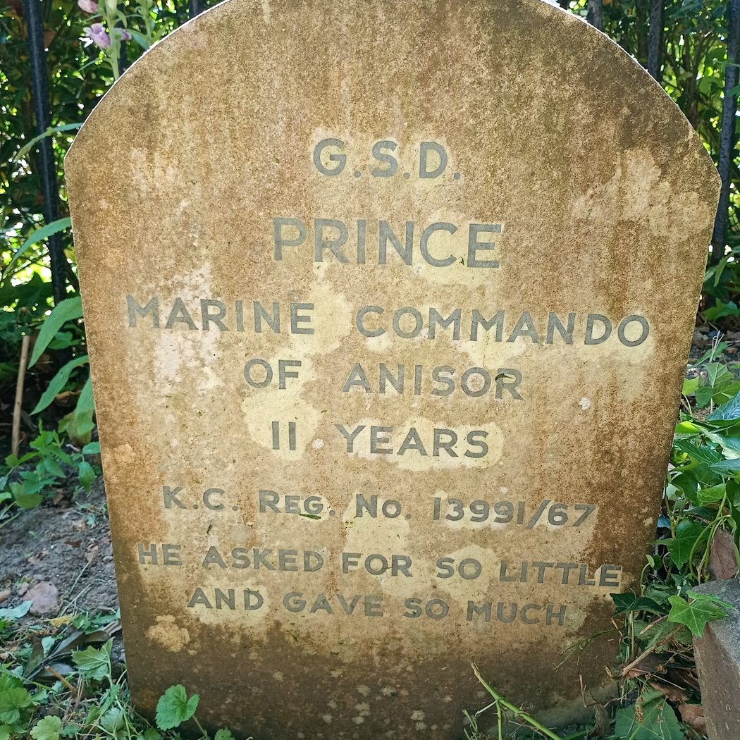 Hyde Park Pet Cemetery 1