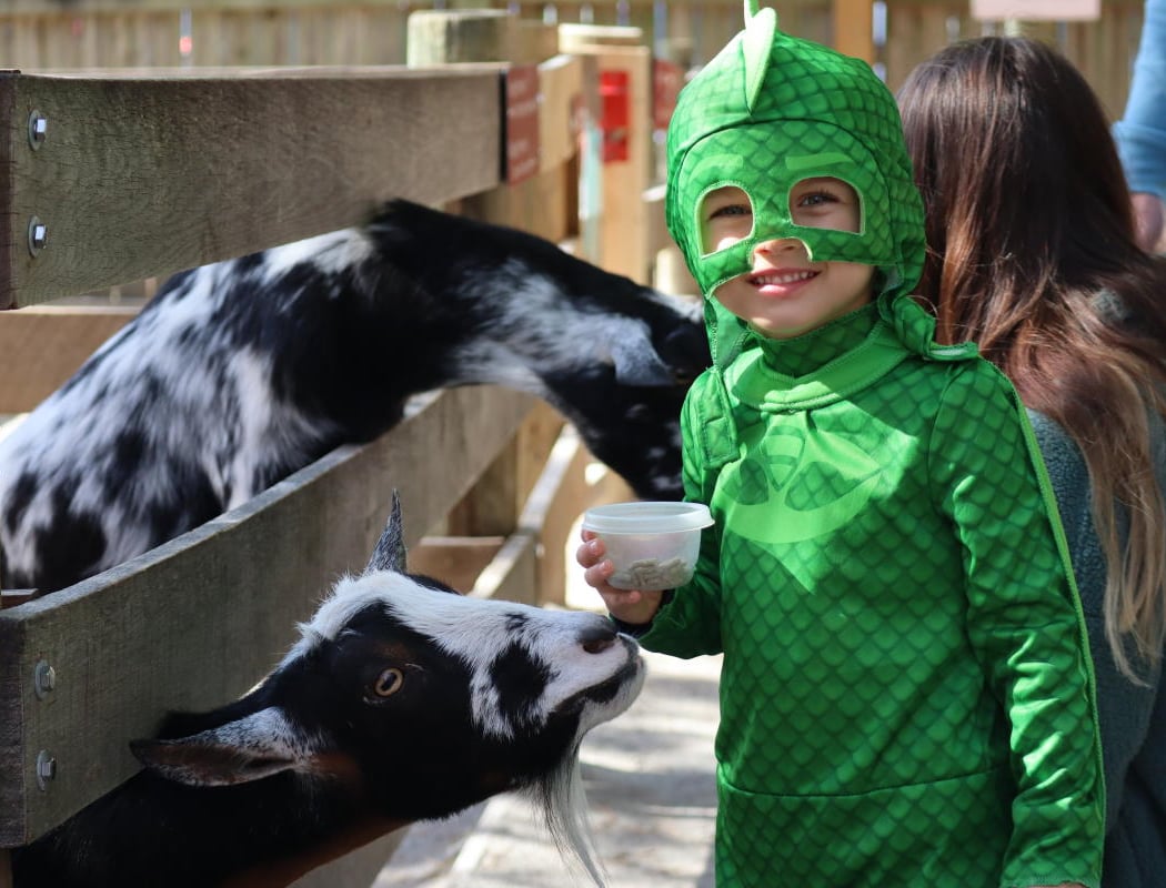 Zoolooween