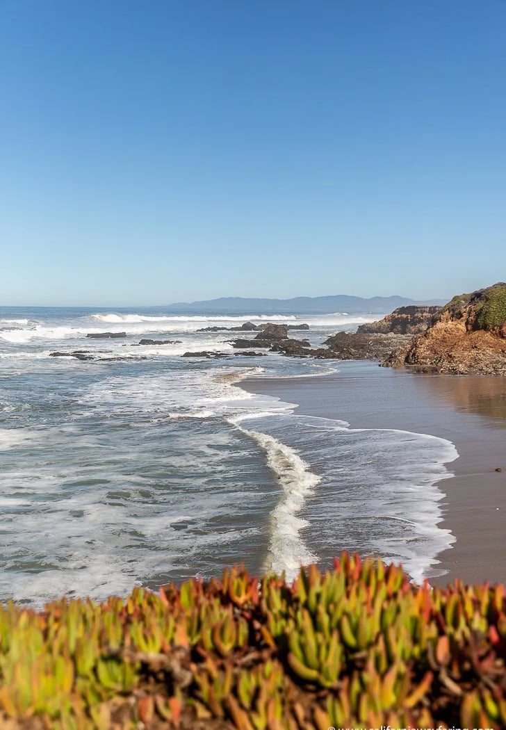 Pescadero State Beach 3