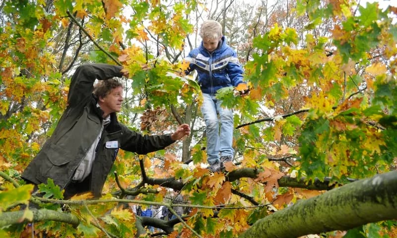 OERR Struinen met de boswachter in het herfstbos 1