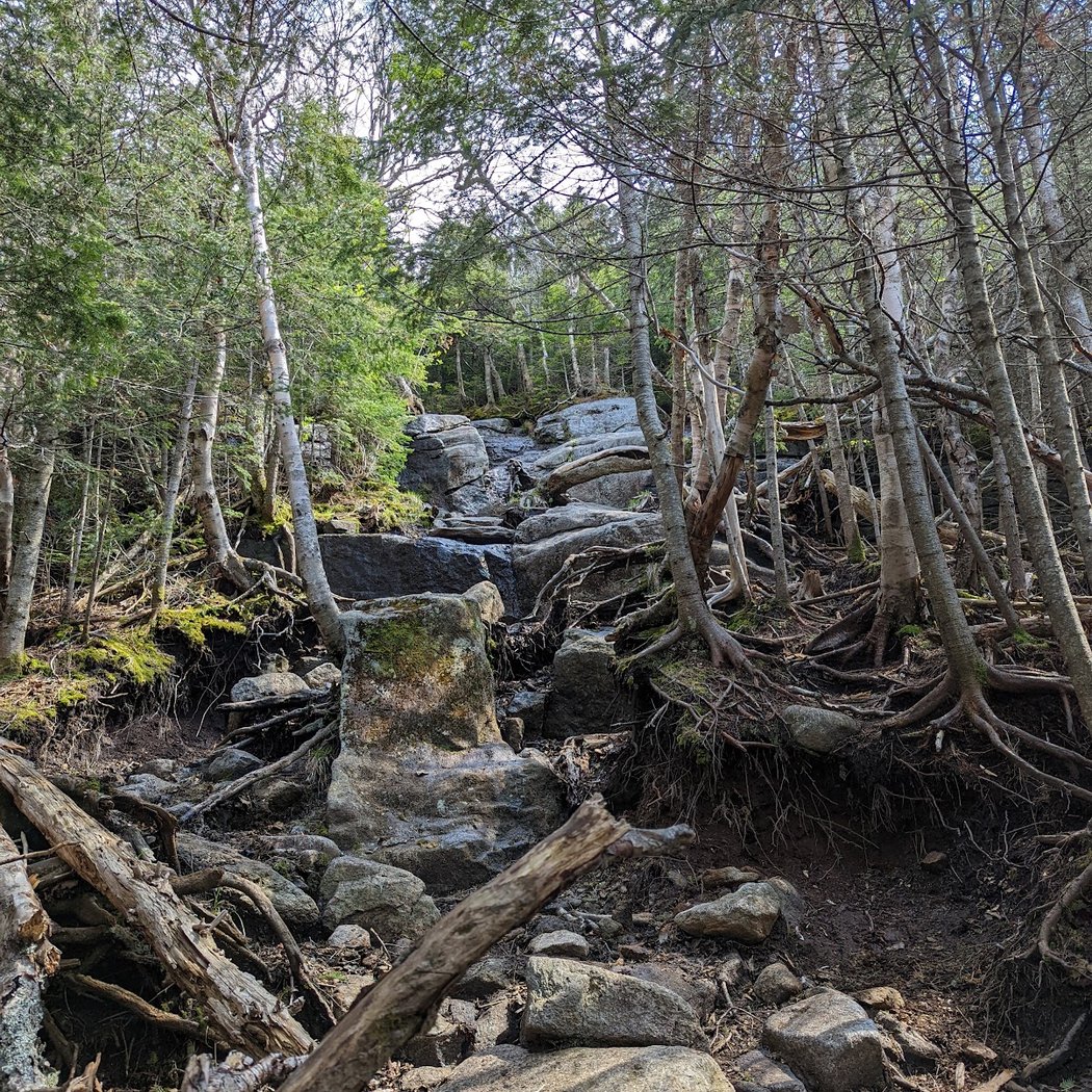 Phelps Mountain 3