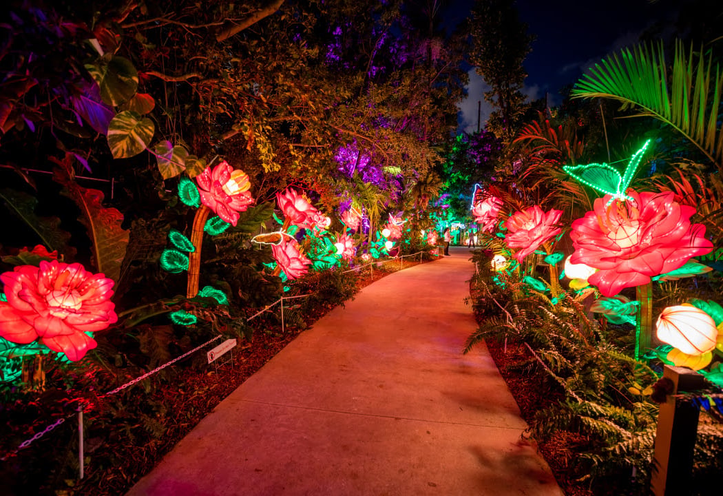 Lektrik Festival of Lights 1