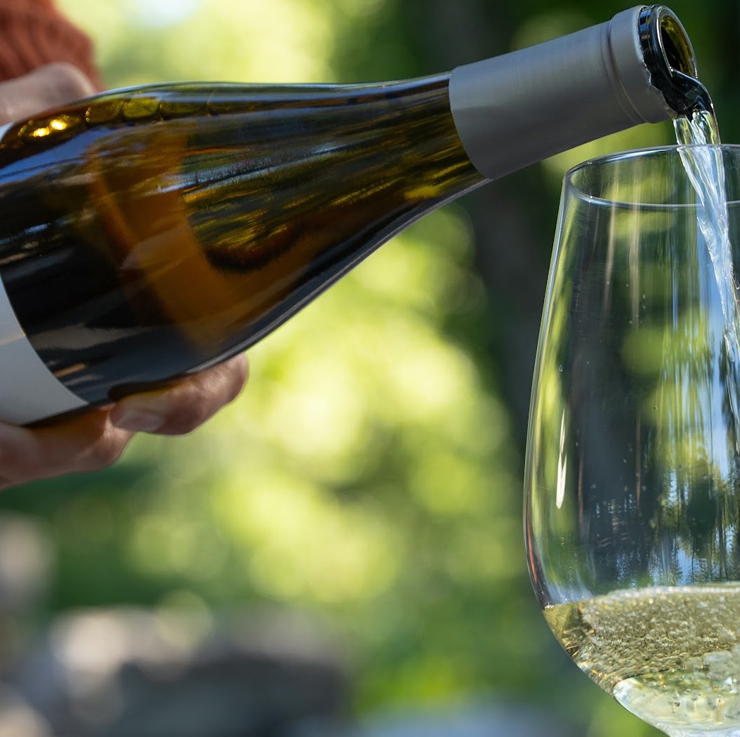 Caddis Wines Sonoma 1