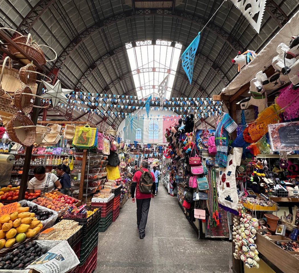 Mercado Hidalgo 3