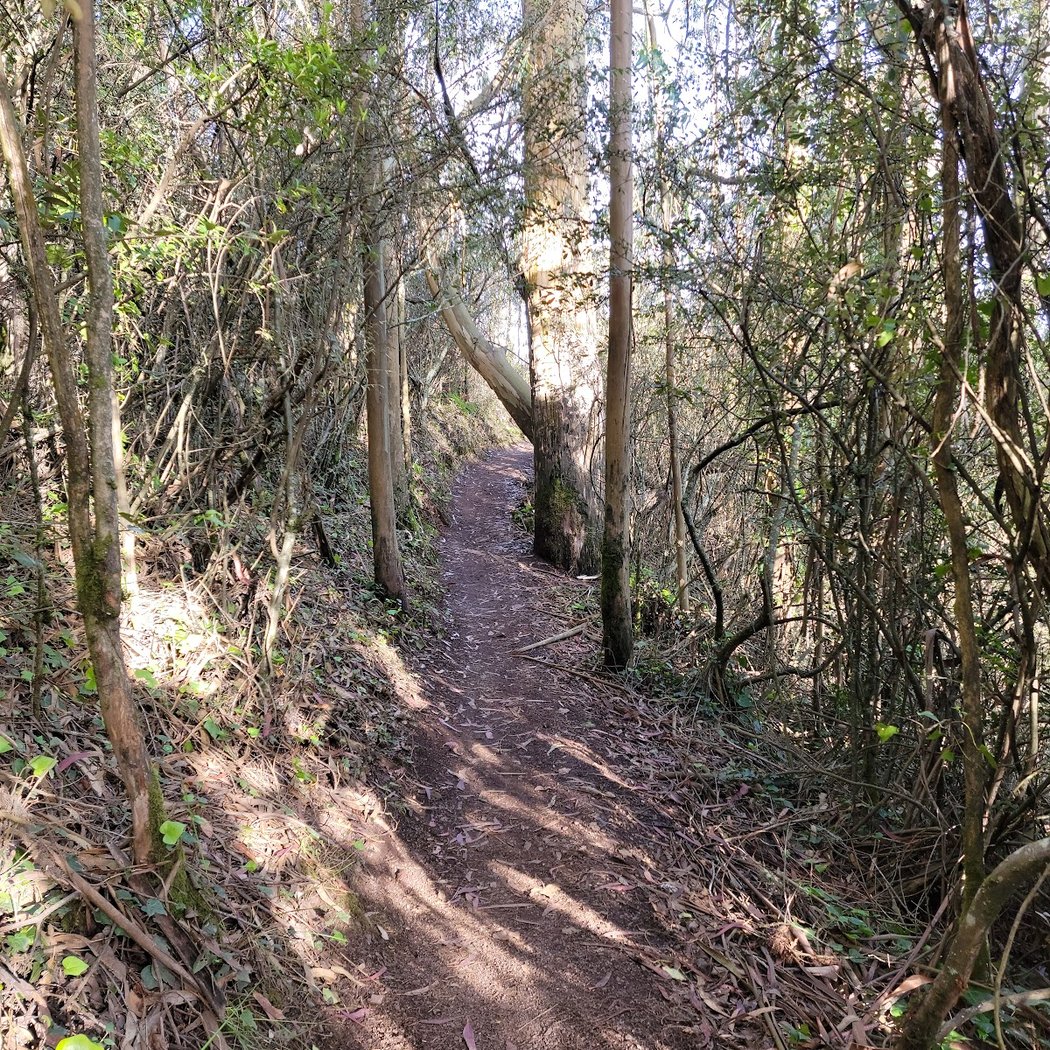 Rodeo Trailhead 3