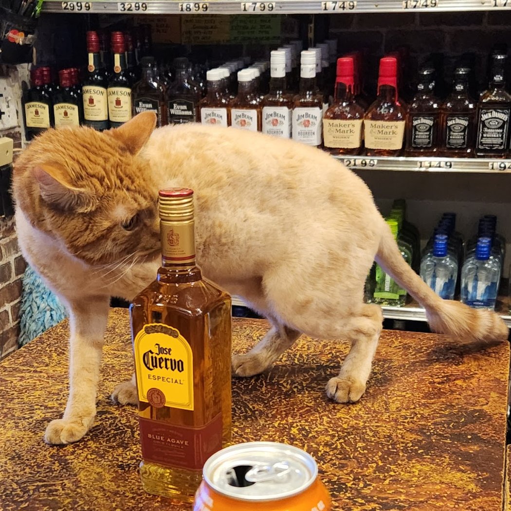 Seneca Ave Liquors 1