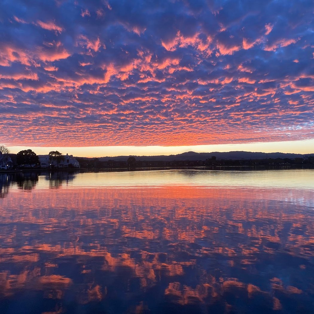 Off the Grid: Foster City 1
