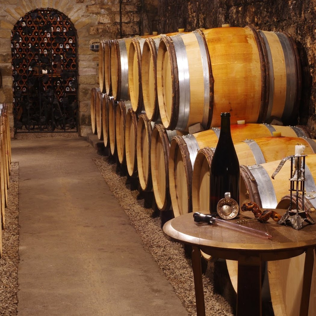 Domaine Armelle et Bernard RION 1