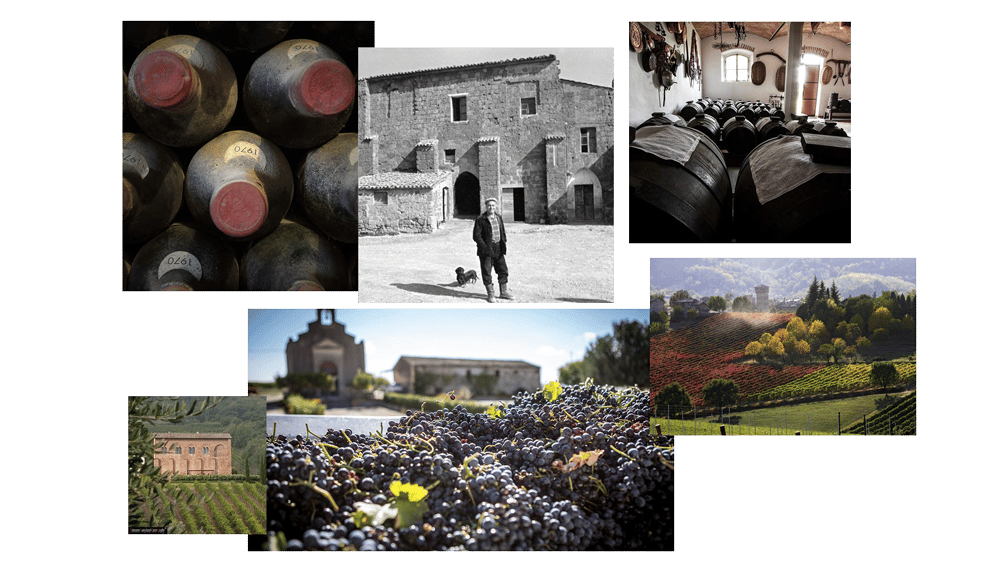 Italian Fab 4 Wine Dinner 1