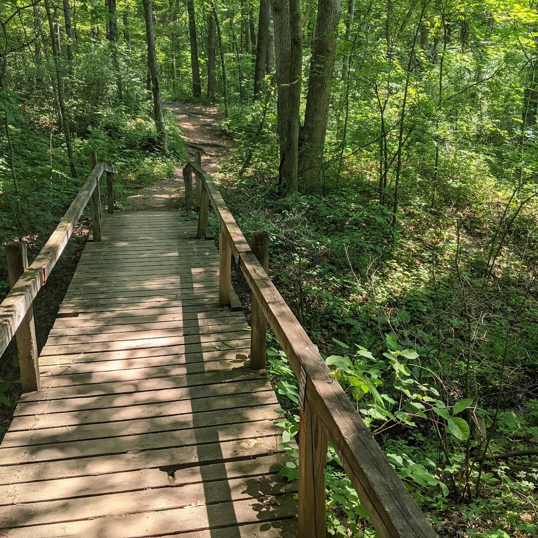 Pinckney Recreation Area 3