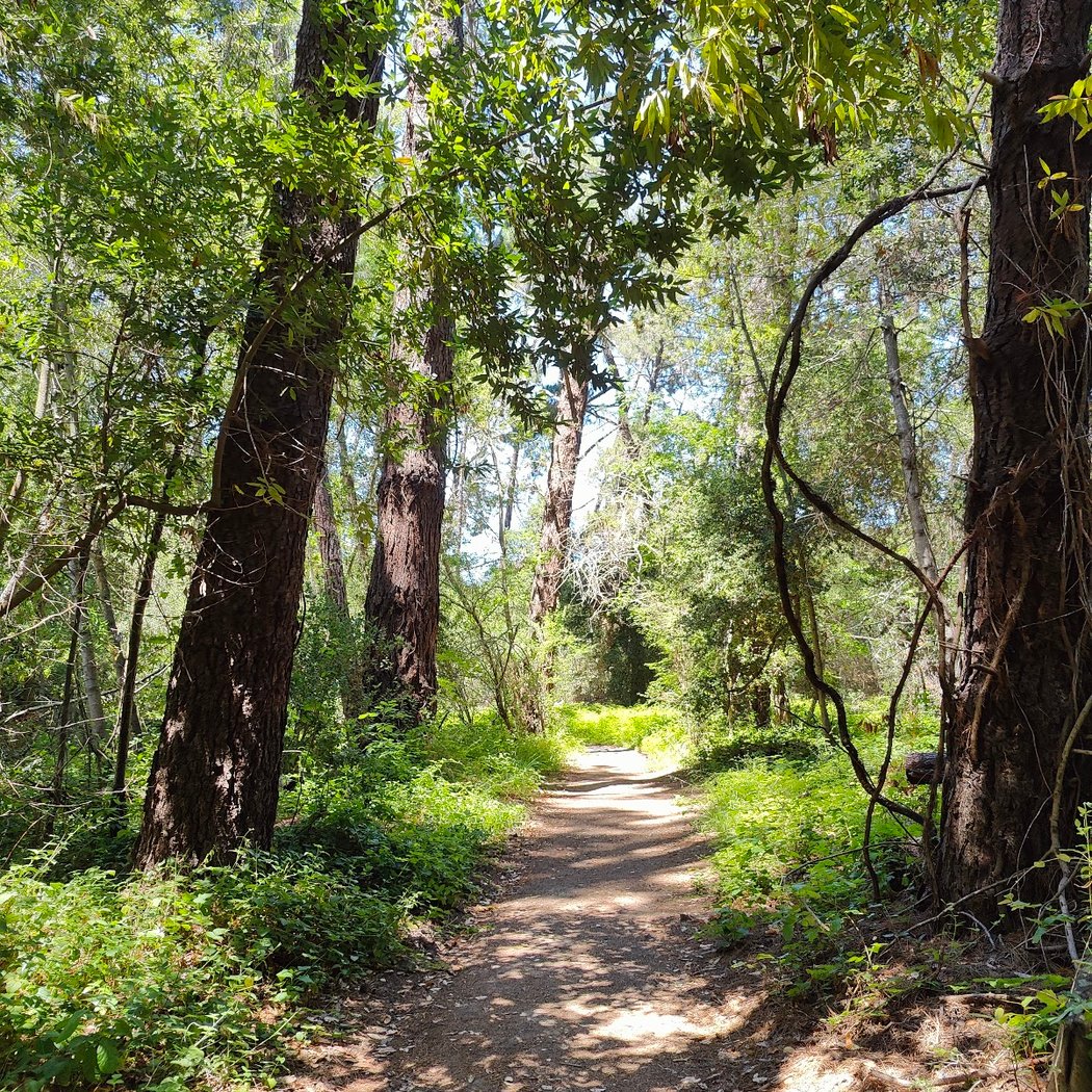 Orinda Connector Staging Area 2