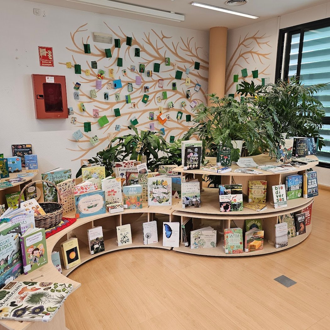 Biblioteca Pública Municipal Torreblanca 2