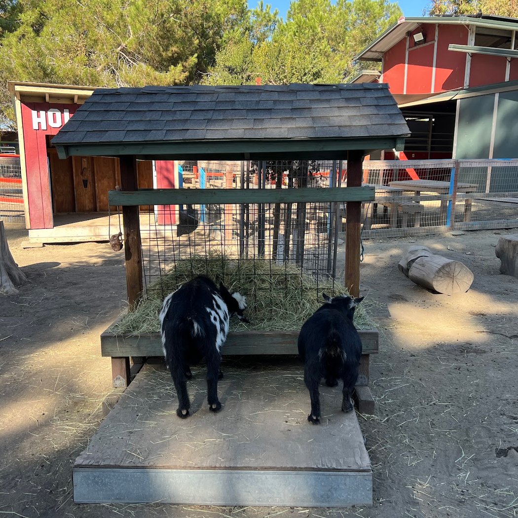 Silicon Valley Reads: Animals, Stories, and Smiles 3