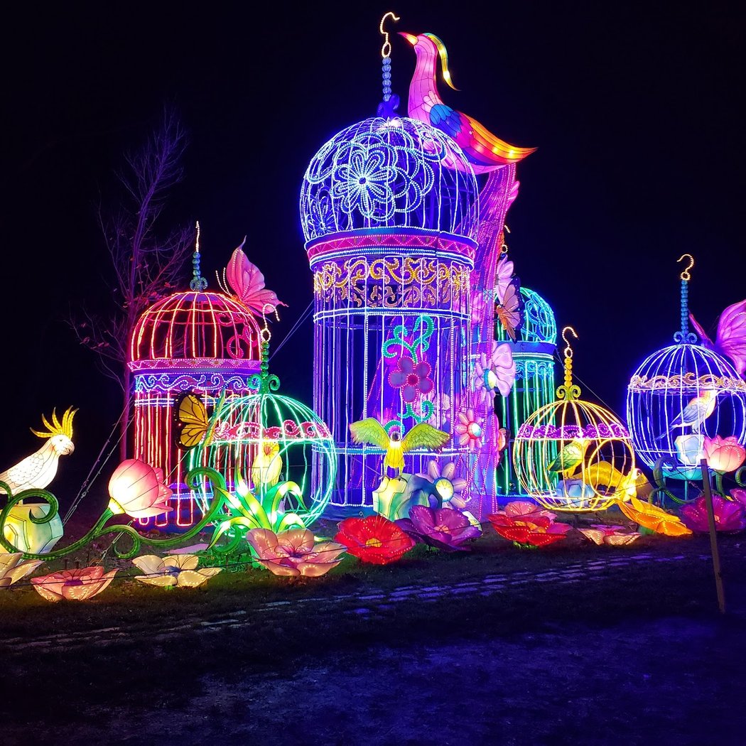 Winter Lantern Festival 3