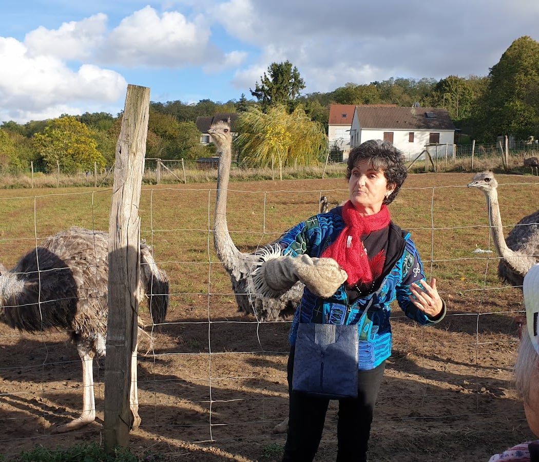 L'Autruche Rieuse 1