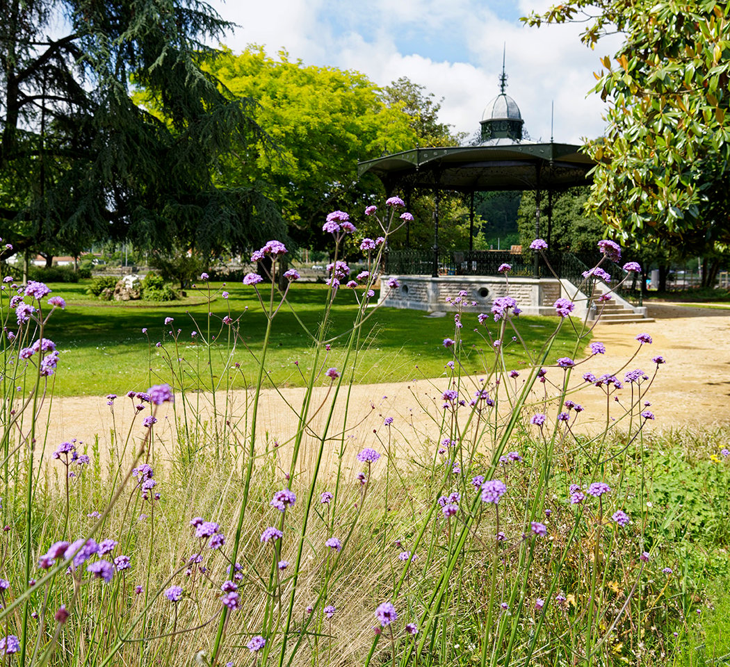 René Cassin Garden 1