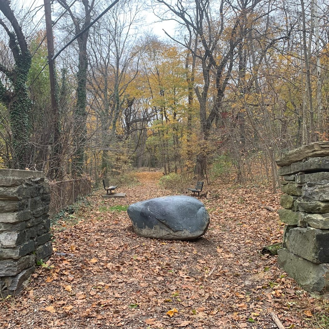 Raoul Wallenberg Forest 2