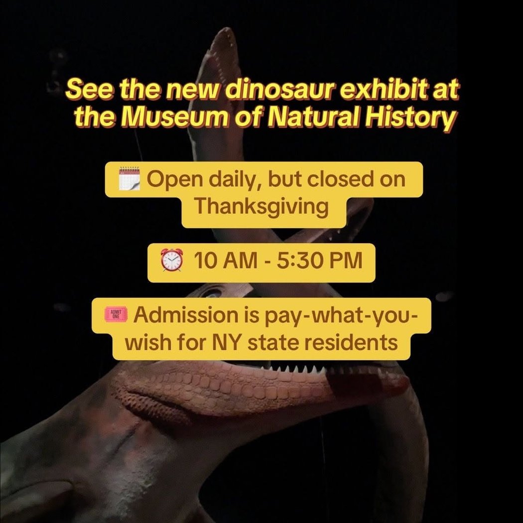 New Dinosaur Exhibit 1