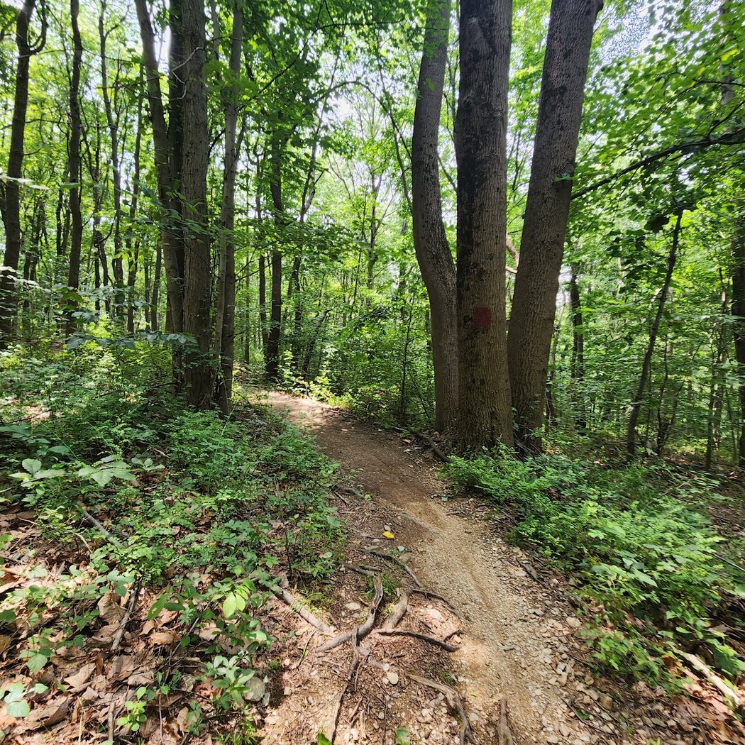 Harmony Hill Nature Area 2