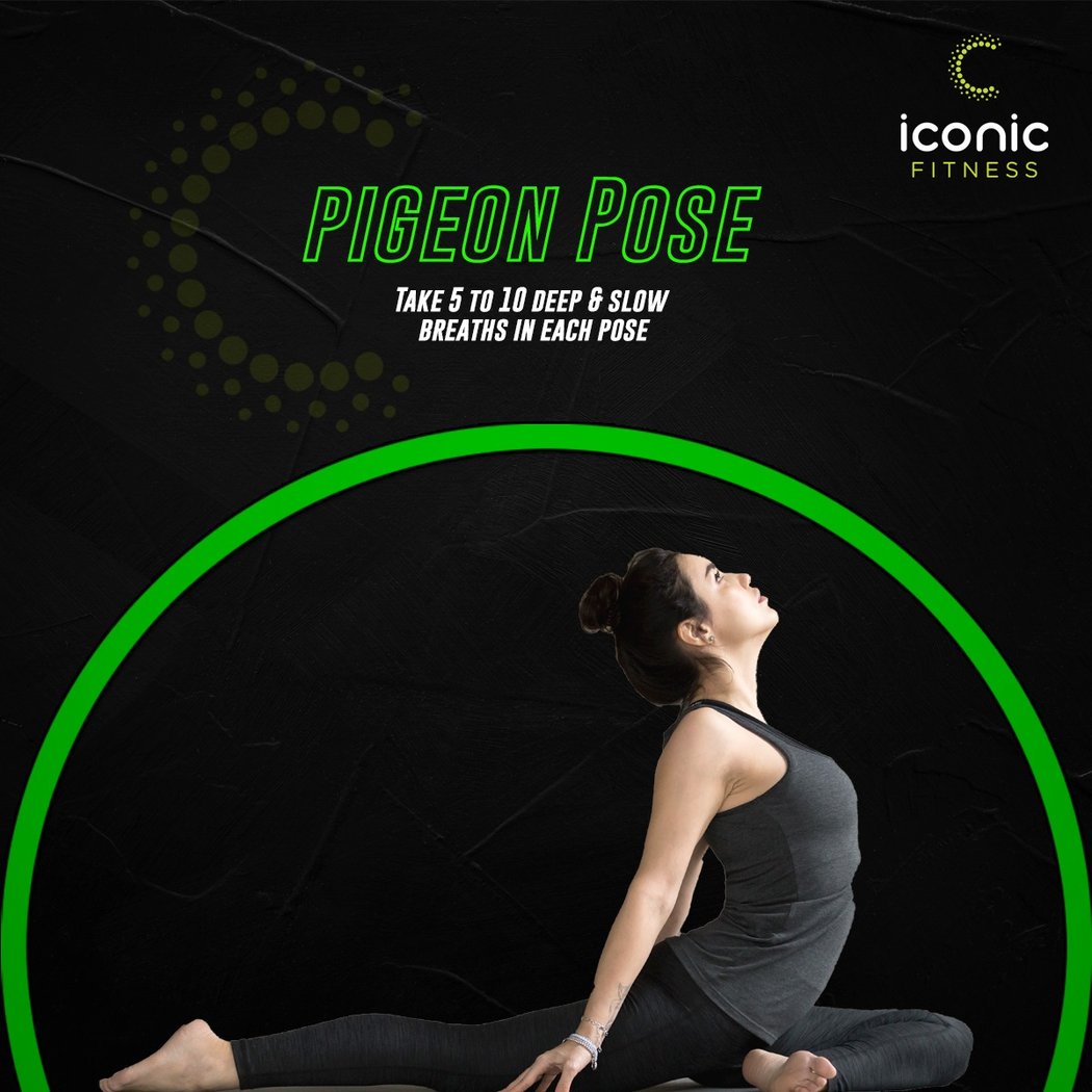 ICONIC FITNESS Koramangala 4th Block- Largest fitness chain in Bangalore | Best Rated | Unisex Fitness Centers | Gx Studio 1