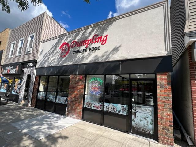 Dumpling Chinese Food 2