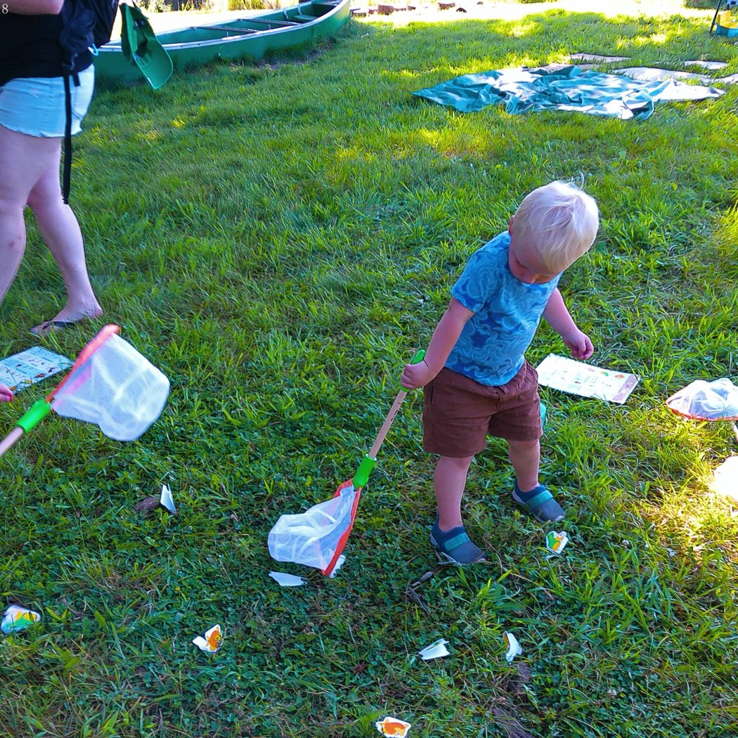Little Explorers: Bugology 1