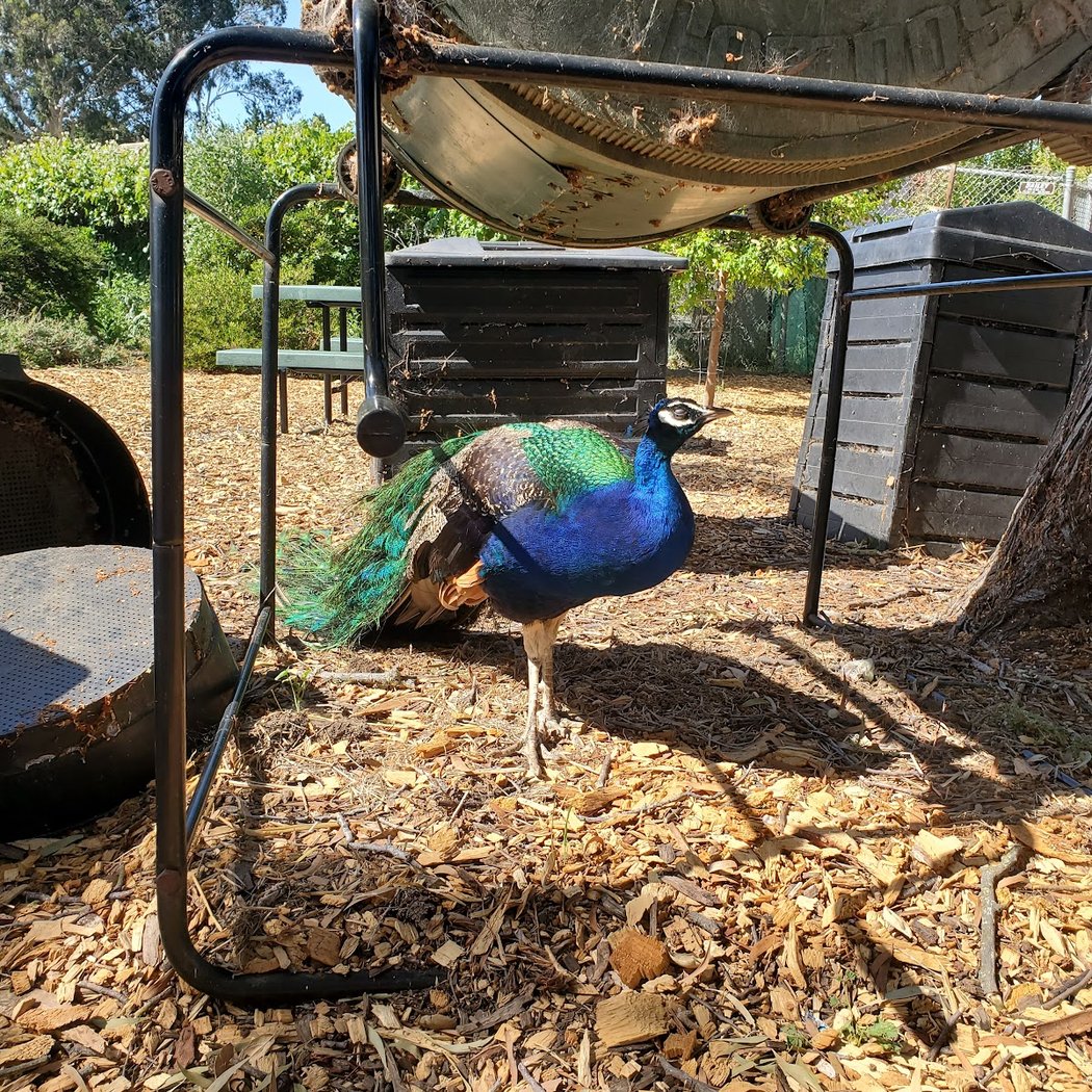 Loma Vista Farm 2