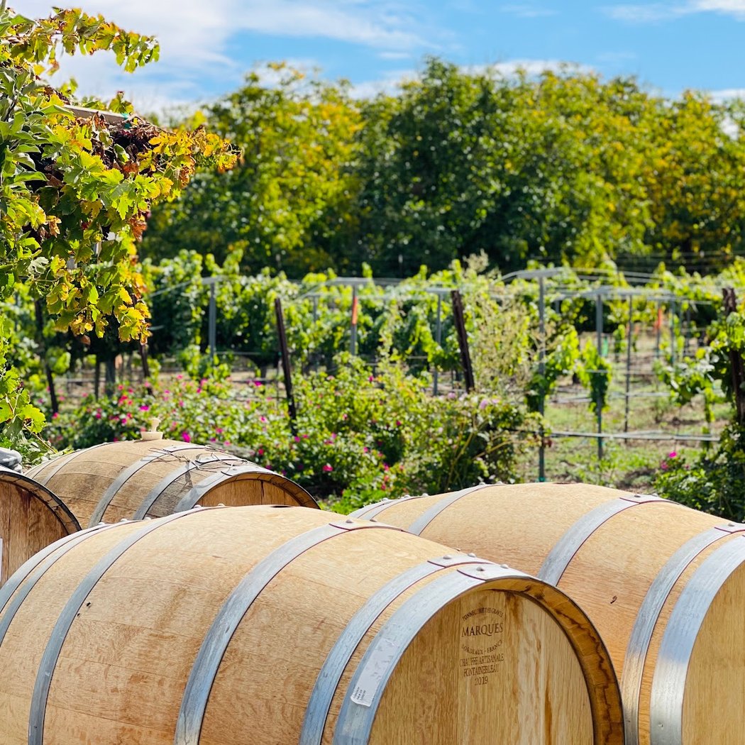 Besson Family Vineyards 5
