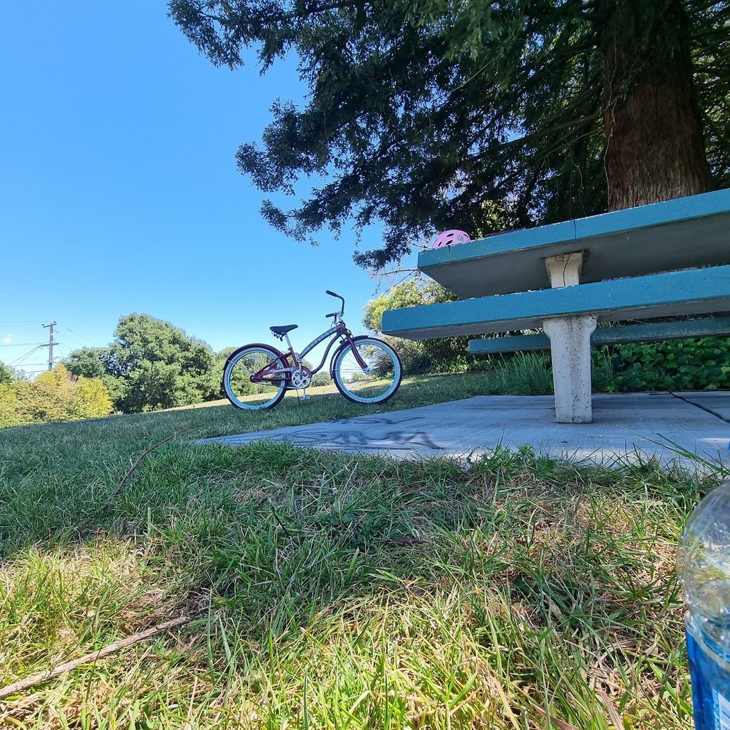 Beverly Hills Park 3
