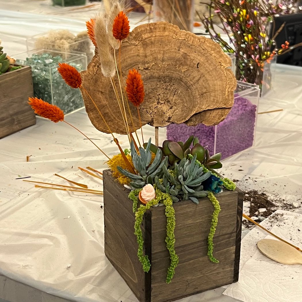 Seasonal Succulent Centerpiece Making Workshop 3