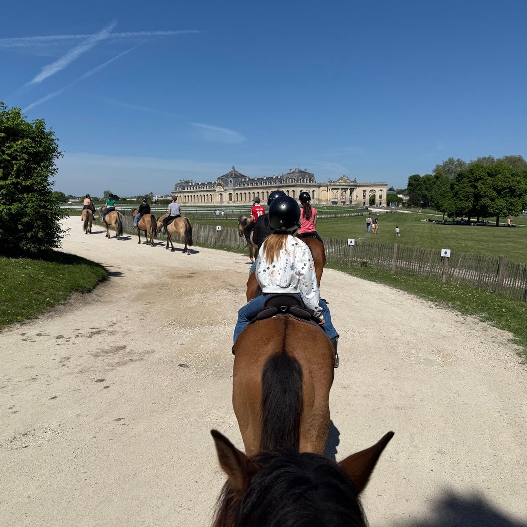Espace Equestre Henson - Chantilly 1