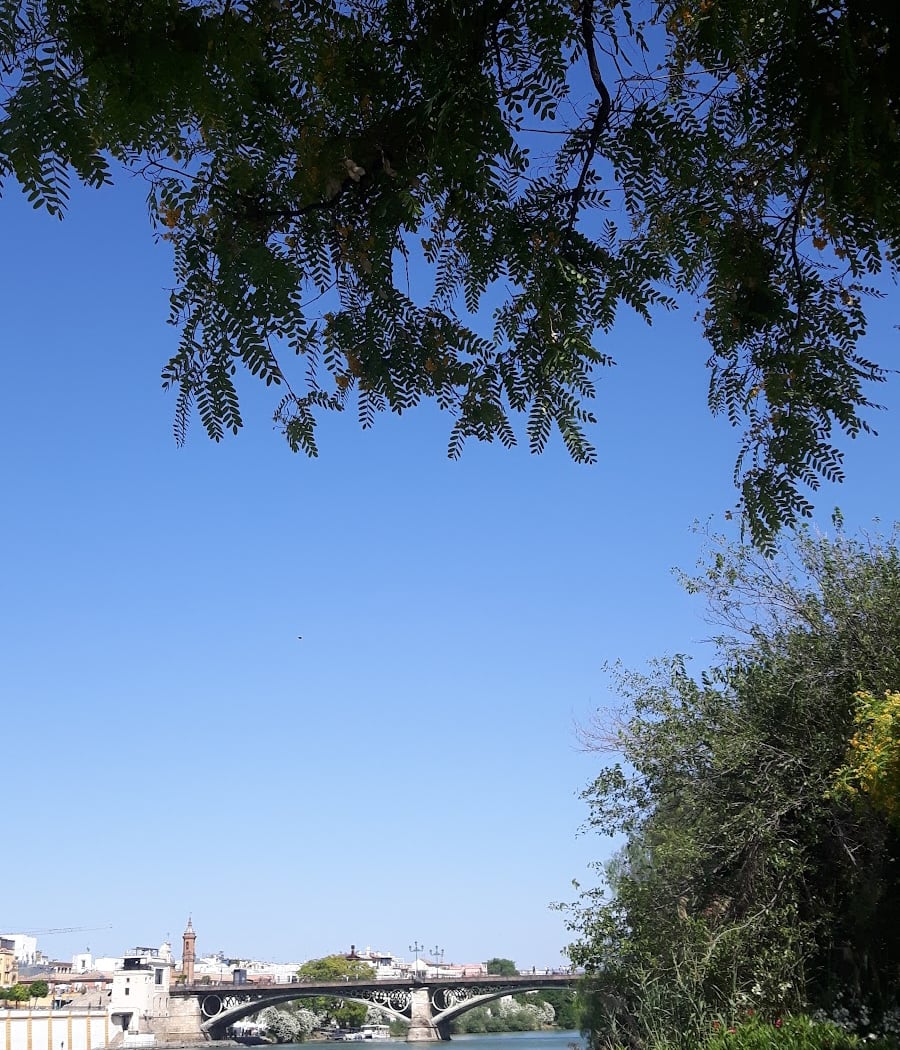 Jardines de Rafael Montesinos 3