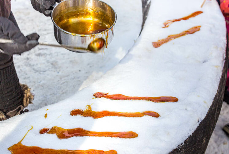 Making Maple Syrup Tours 1