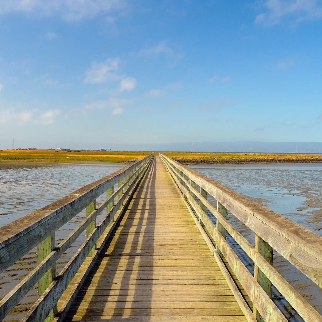 Bay Trail 1
