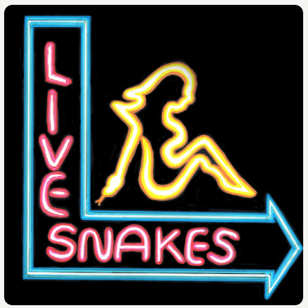 Live Snakes 1
