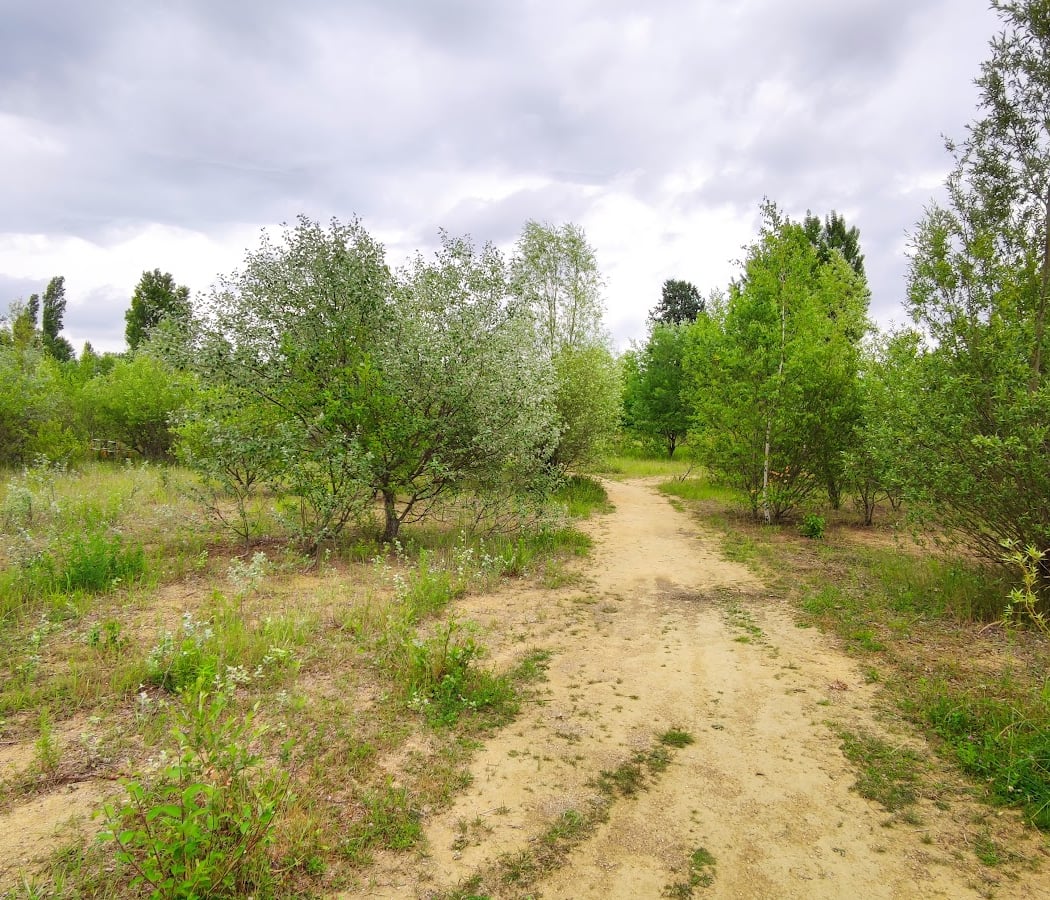 Parc Paysager de la Friche Kodak 1