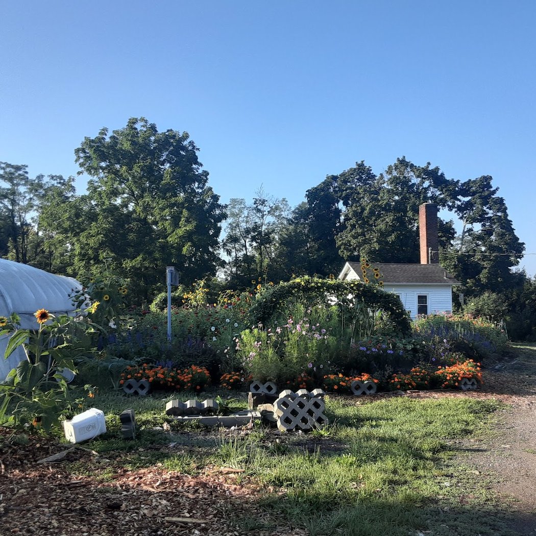 Downing Park Urban Farm 3