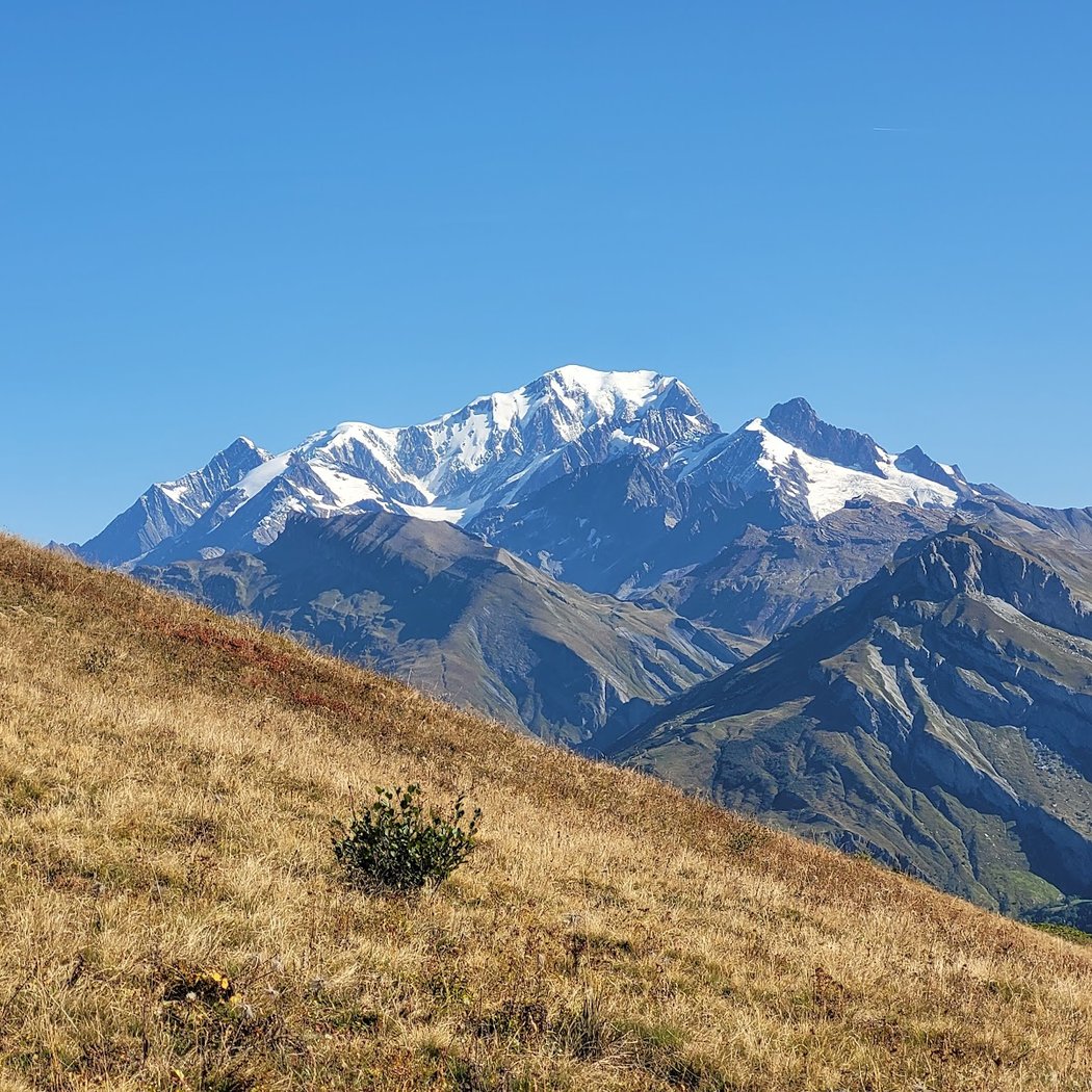 Roche Parstire 3