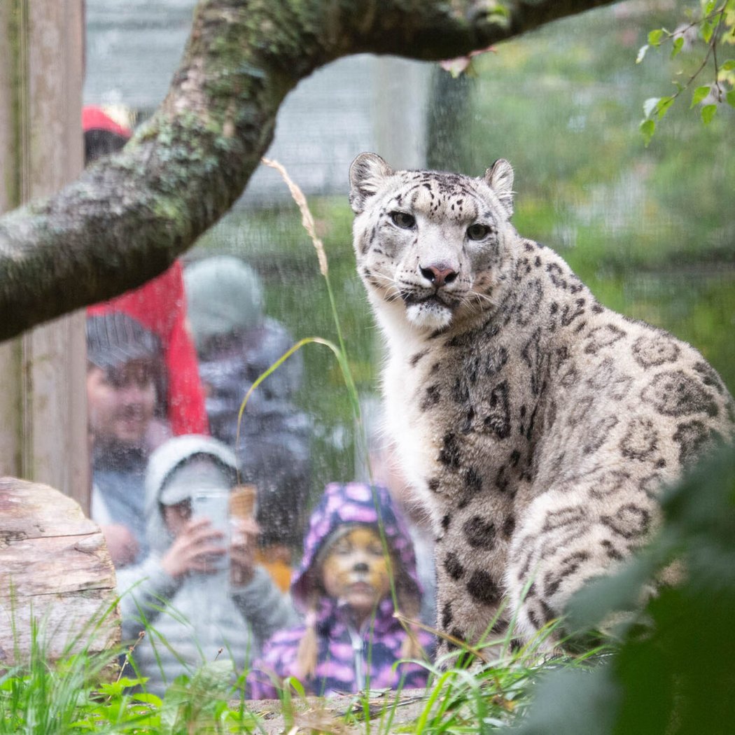 Korkeasaari Zoo 1