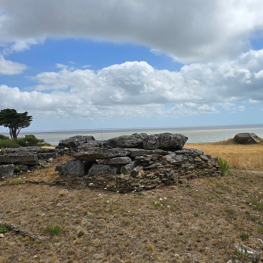 Dolmen de la Joseliére 1
