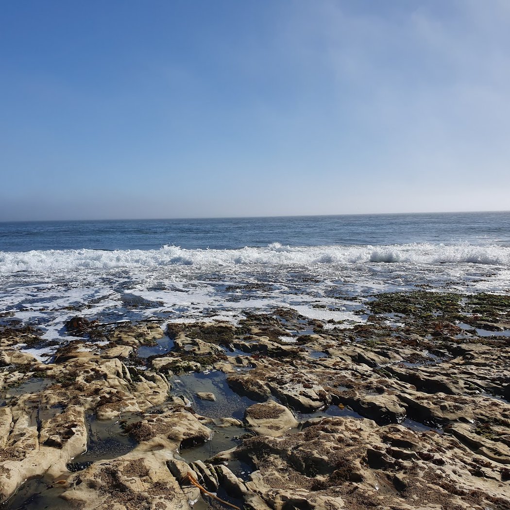 Natural Bridges Tidepools 3
